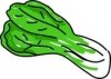 Pak Choi